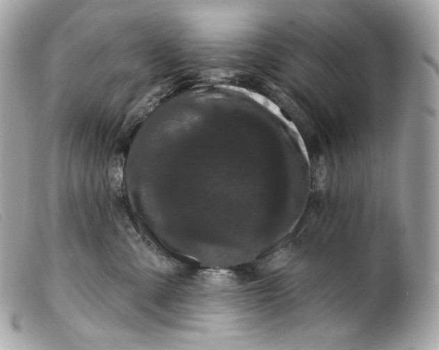 X0000099560427200805301545