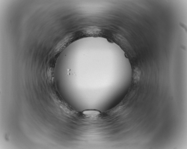 X0000099560428200805301545