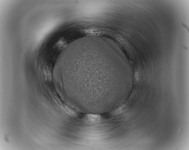 X0000099560429200805301545