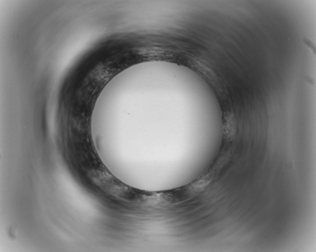 X0000099560430200805301545