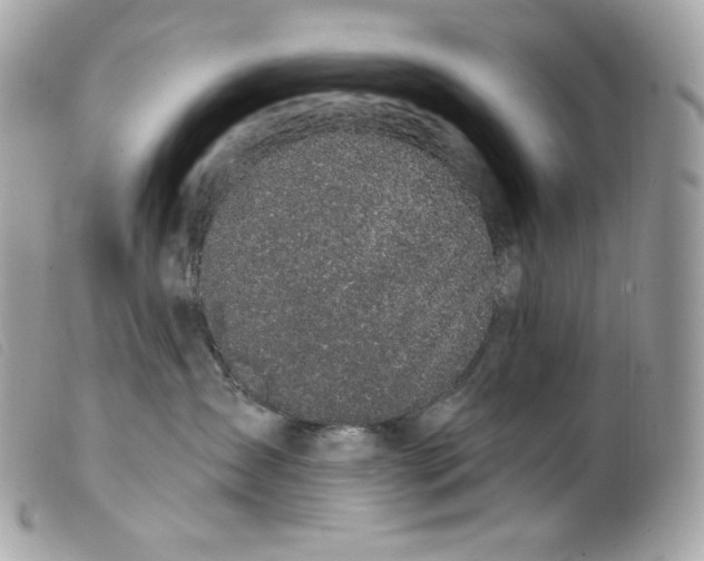 X0000099560431200805301545