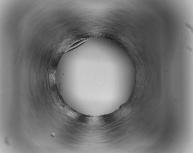 X0000099560432200805301545