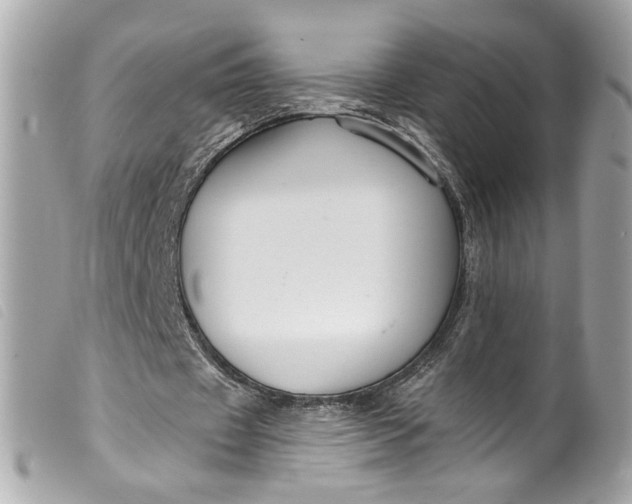 X0000099560433200805301544