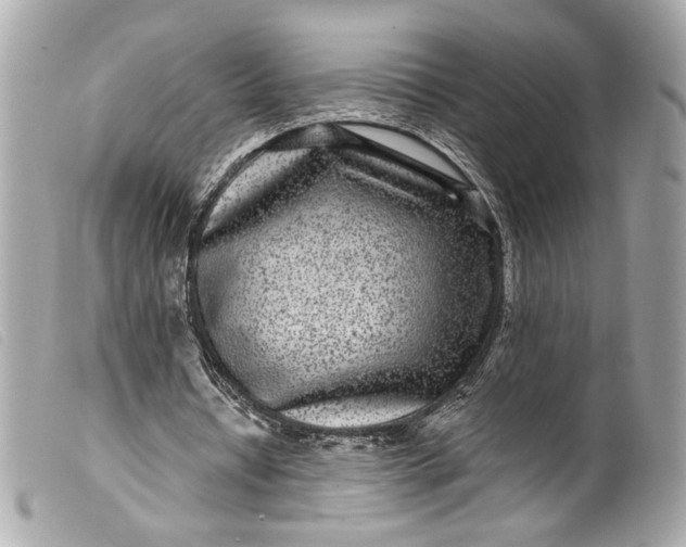 X0000099560434200805301544