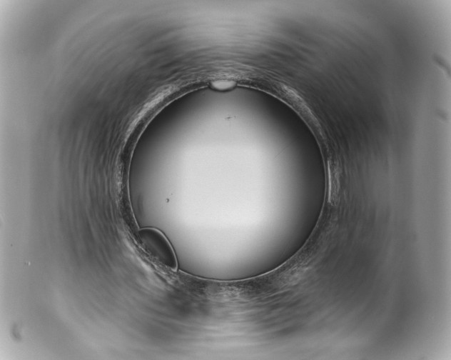 X0000099560435200805301544