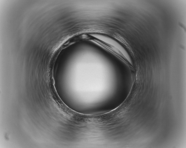 X0000099560436200805301544