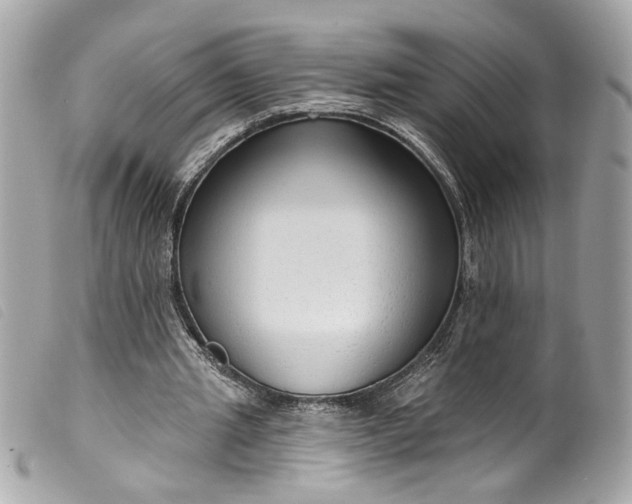 X0000099560437200805301544