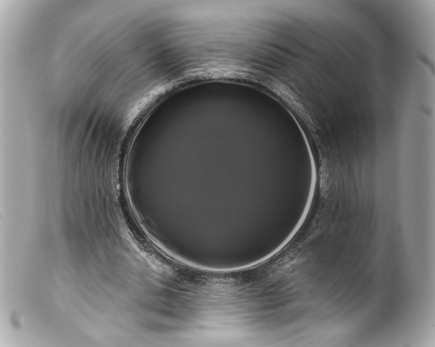 X0000099560438200805301544