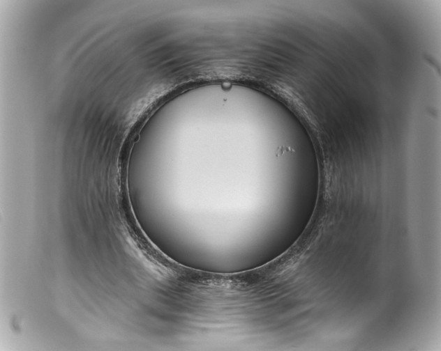 X0000099560439200805301544