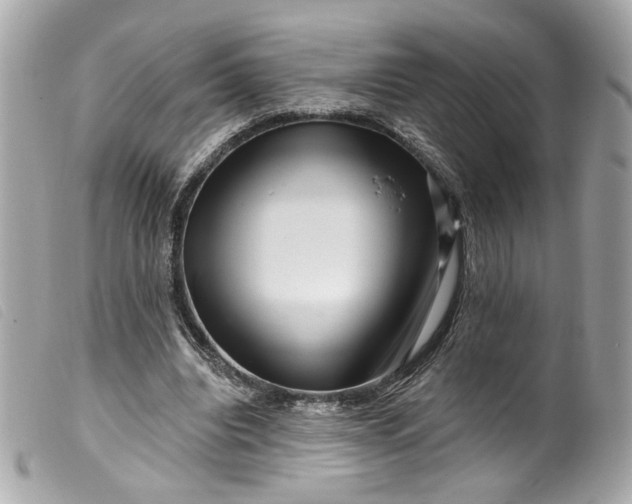 X0000099560440200805301544