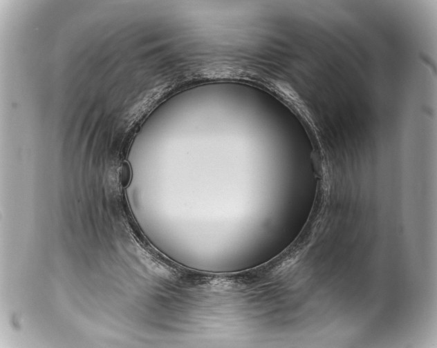 X0000099560441200805301544