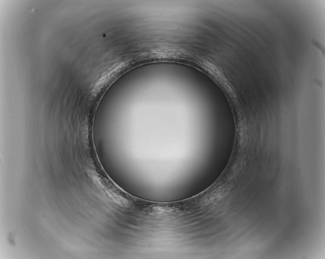 X0000099560442200805301544