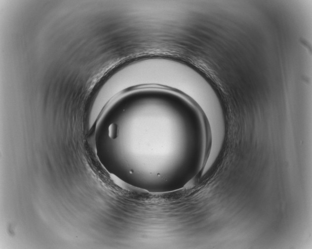 X0000099560444200805301544