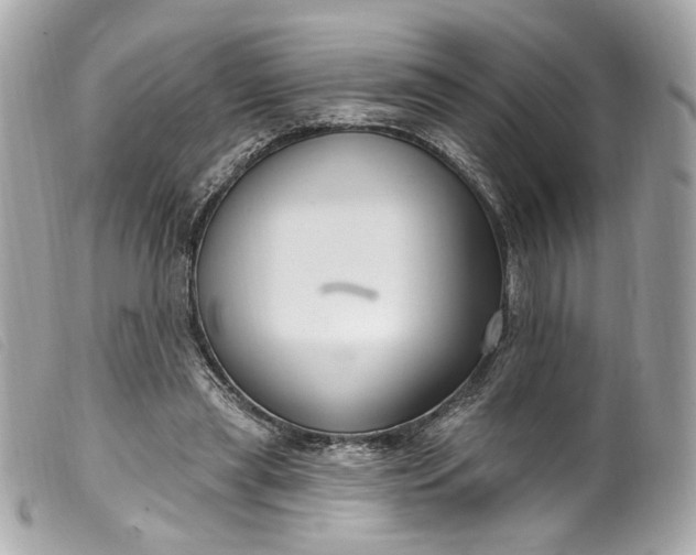 X0000099560445200805301544