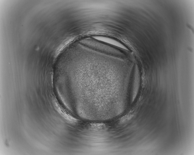 X0000099560446200805301544