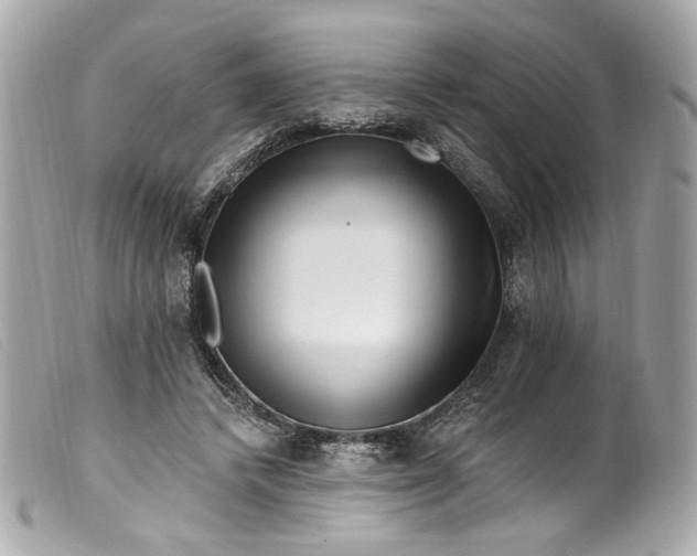 X0000099560448200805301544