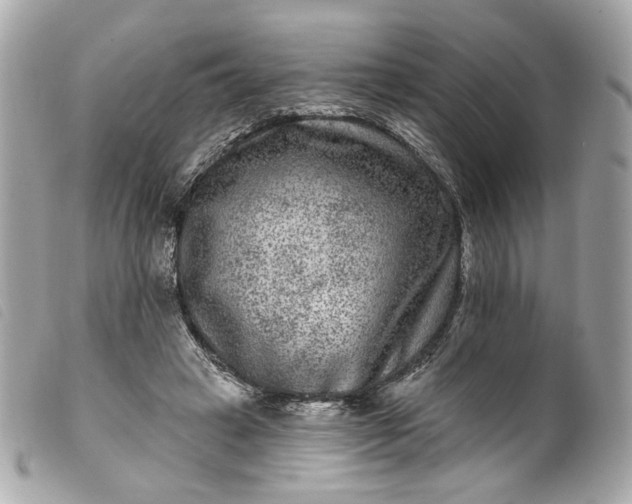 X0000099560449200805301544