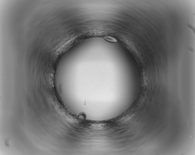 X0000099560450200805301544