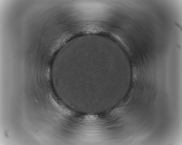 X0000099560451200805301544