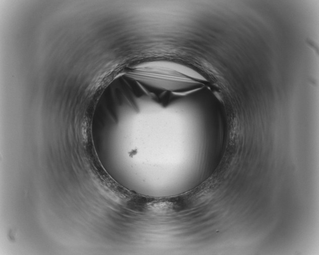 X0000099560452200805301544