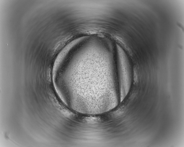 X0000099560453200805301544