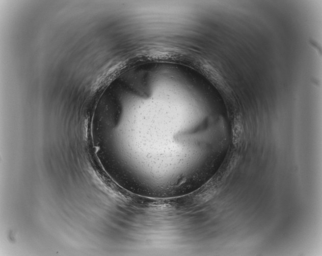 X0000099560454200805301544