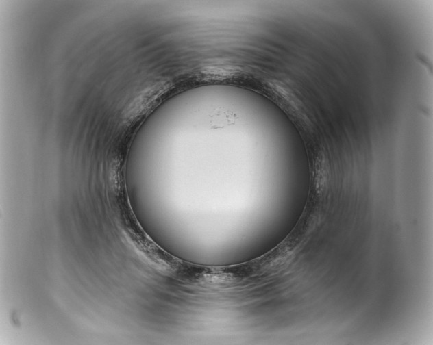 X0000099560455200805301545