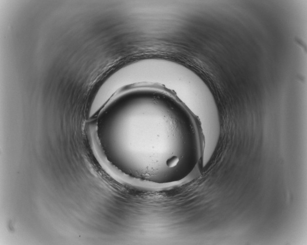 X0000099560456200805301545