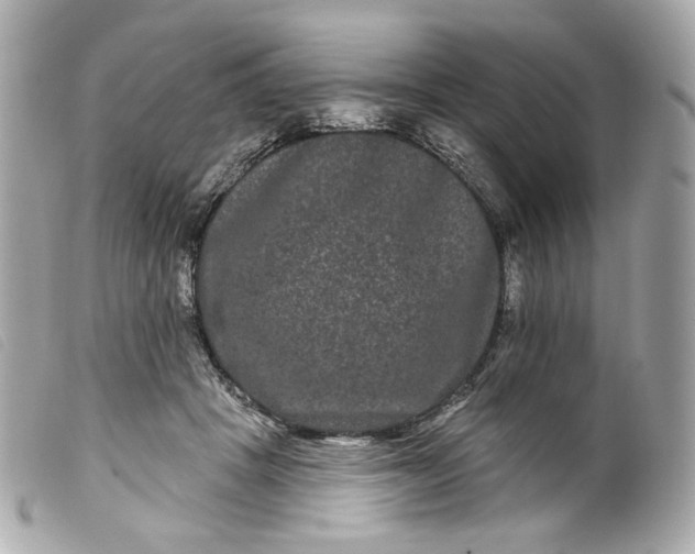 X0000099560457200805301545