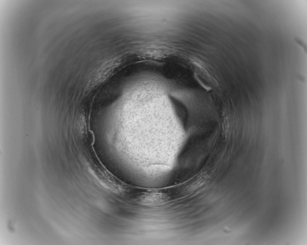 X0000099560459200805301545