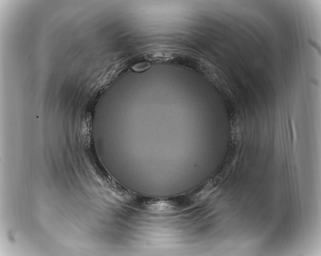 X0000099560460200805301545