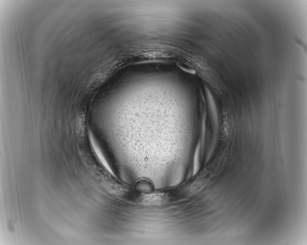 X0000099560461200805301545