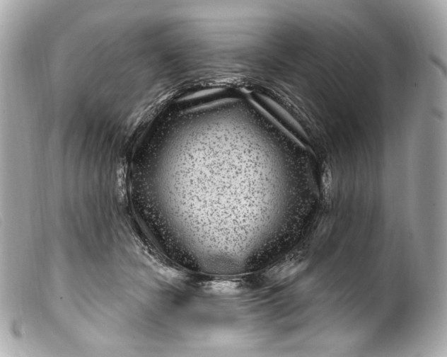 X0000099560462200805301545