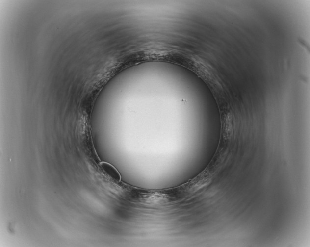 X0000099560463200805301545