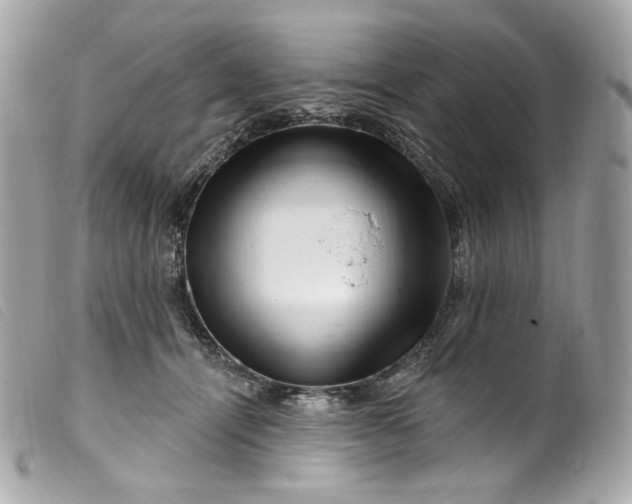 X0000099560464200805301545