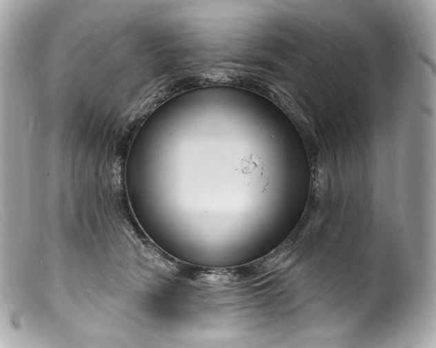 X0000099560466200805301545