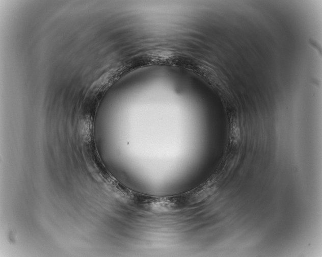 X0000099560468200805301545