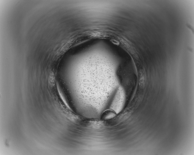 X0000099560469200805301545