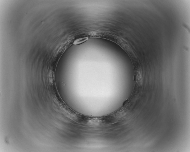 X0000099560470200805301545