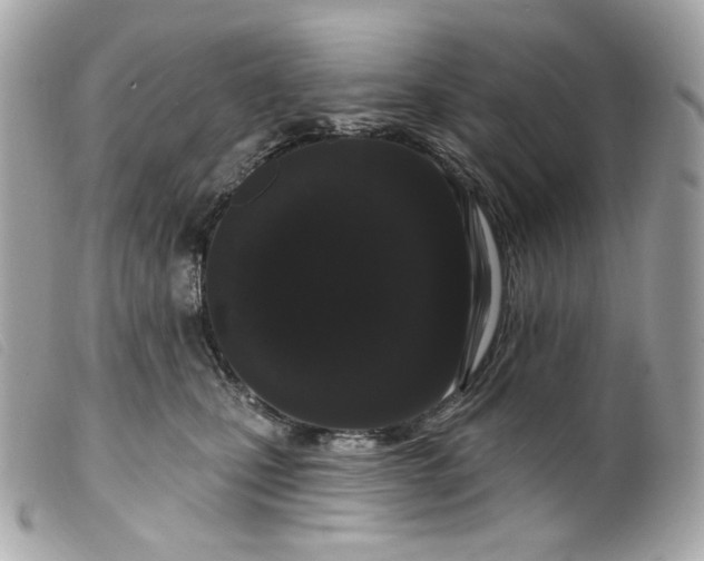 X0000099560471200805301545