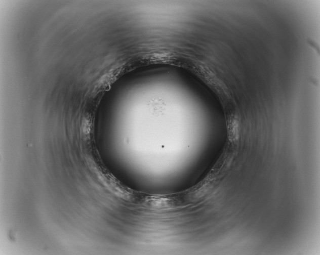 X0000099560472200805301545