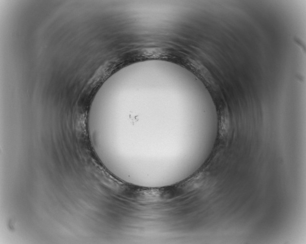 X0000099560473200805301545