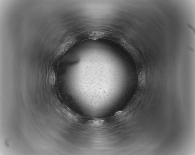 X0000099560474200805301545