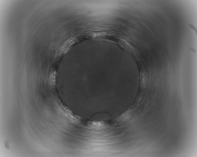 X0000099560475200805301545