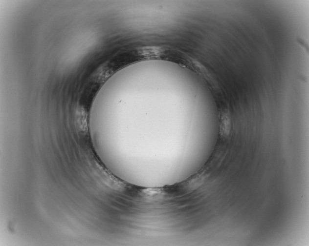 X0000099560477200805301545