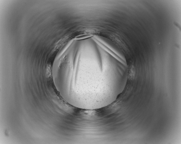 X0000099560478200805301545