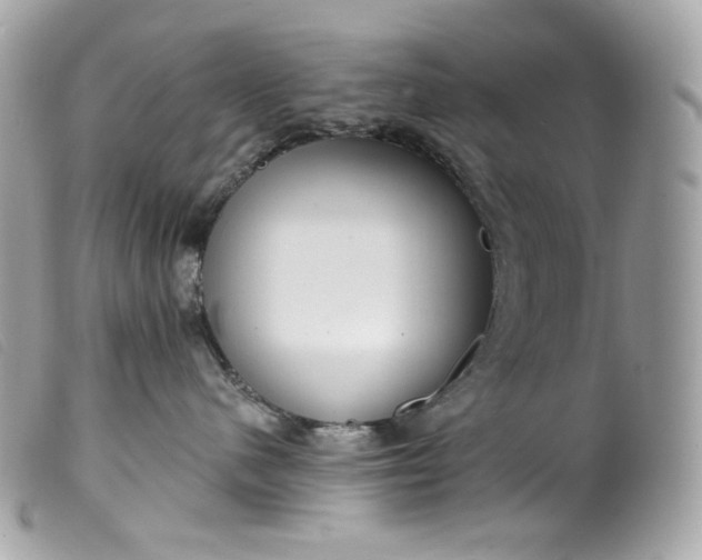 X0000099560480200805301545