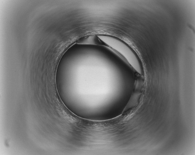 X0000099560481200805301544