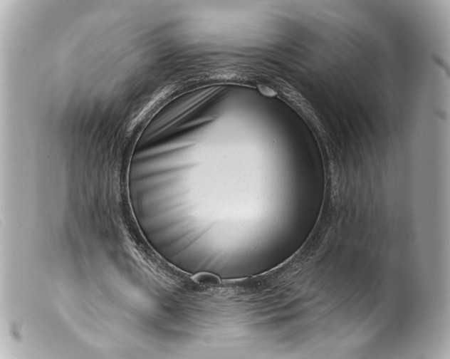 X0000099560482200805301544