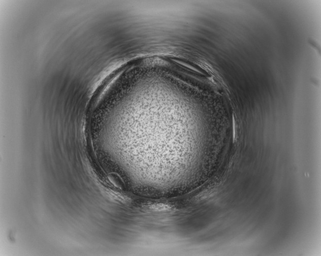 X0000099560483200805301544